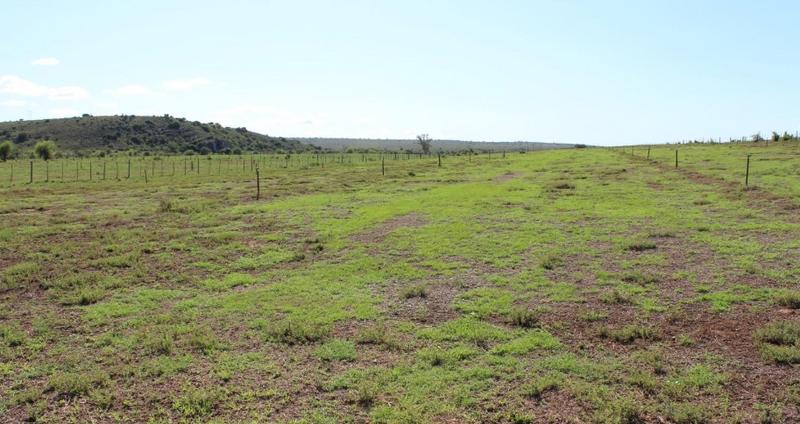 4 Bedroom Property for Sale in Grahamstown Eastern Cape